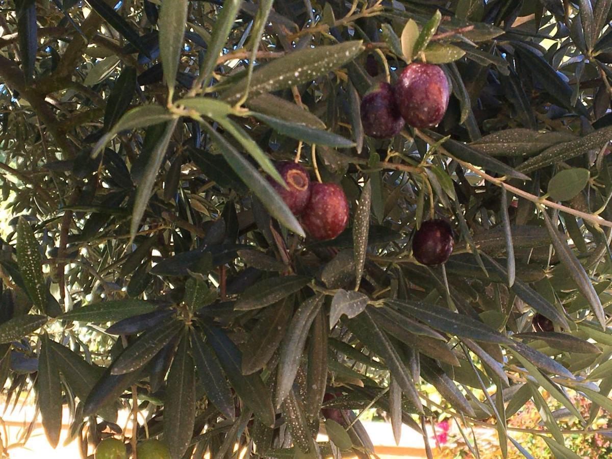 مبيت وإفطار Alleins Les Lavandes المظهر الخارجي الصورة